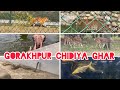 Gorakhpur Chidiya Ghar | Gorakhpur Zoo | Places to visit in Gorakhpur