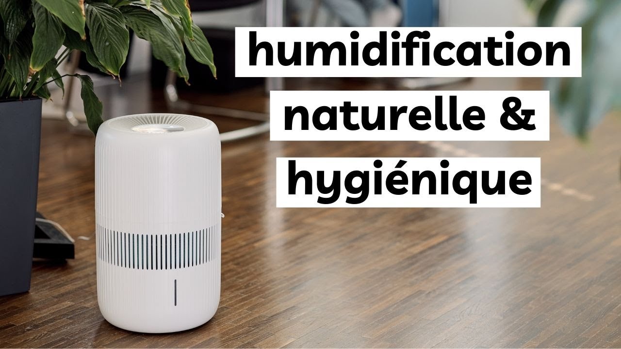 Ecofort Humidificateur ecoQ HumidAir E600+ Black