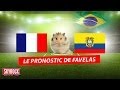Pour l'instant Favelas le hamster ne s'est pas planté sur les matchs de l'équipe de France! Voici celui de France Equateur: