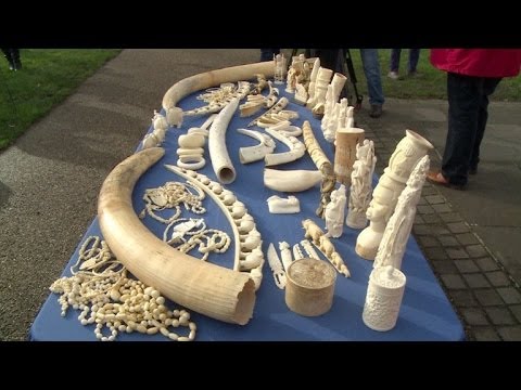 Objetos de marfim são destruídos em Londres