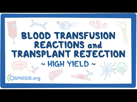 Blood transfusion reactions and transplant rejection: Pathology Review