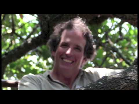 South Africa and Namibia 2009