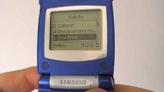 Samsung SGH A400 (vintage telephone)
