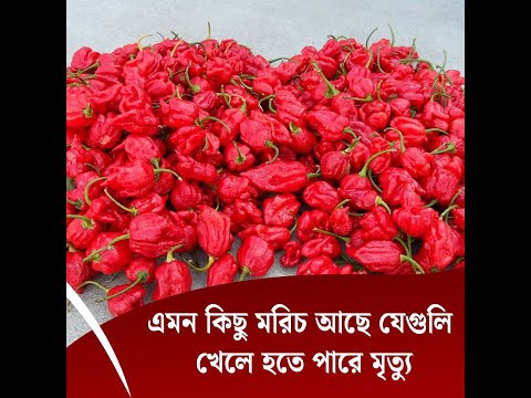 এমন কিছু মরিচ আছে যেগুলি খেলে হতে পারে মৃত্যু