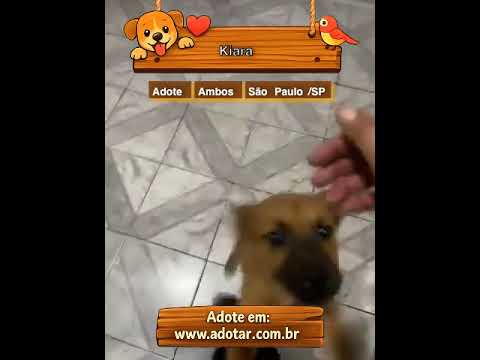 Vídeo de Kiara