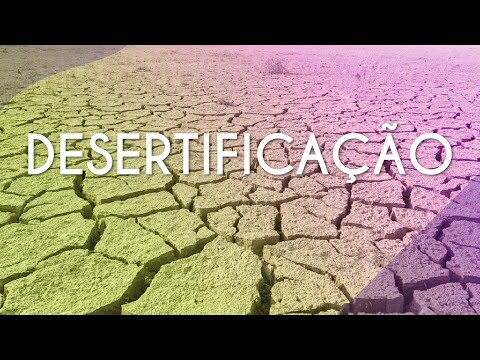 Desertificação - Brasil Escola