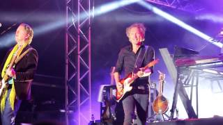 Tomas Ledin-Helt galen i dig