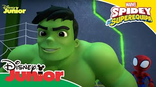 Conhece o Spidey e a sua Superequipa | Uma Ajuda de Hulk