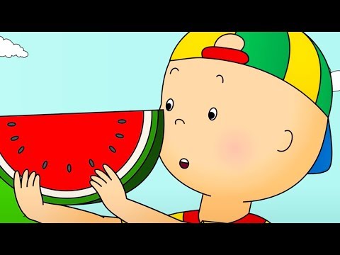 Caillou at the Picnic | Caillou Cartoon