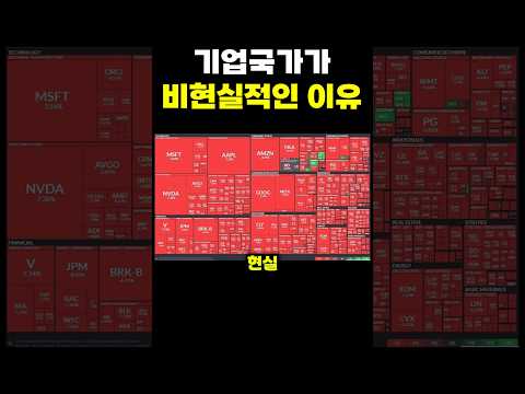 기업국가가 비현실적인 이유
