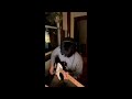 Flawed Mangoes Livestream Set 12 12 2024