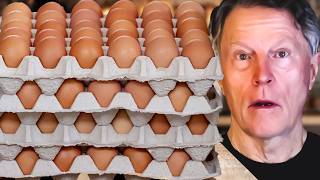 I Ate 100 Eggs in 10 Days