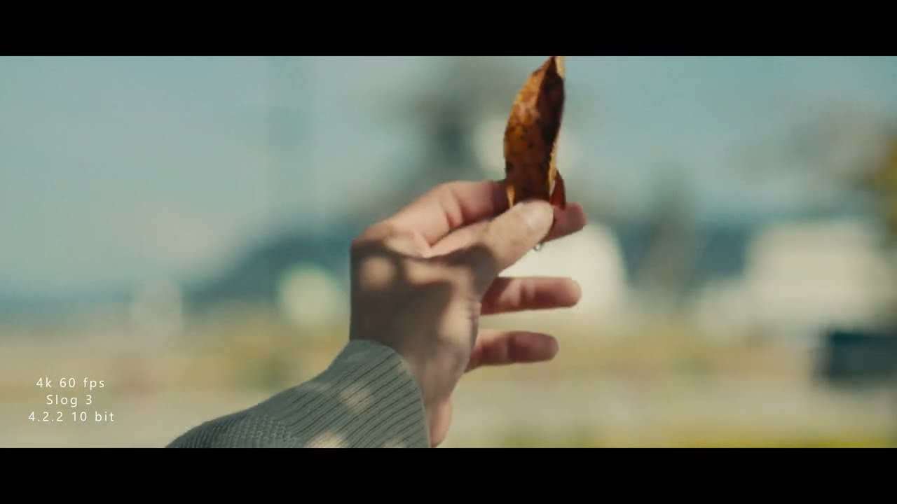 Cinematic Vlog 06