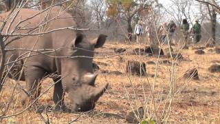 preview picture of video 'Activities at Tongabezi, Livingstone, Zambia'