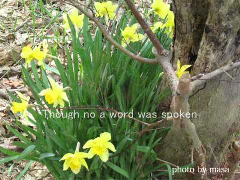 Love Walked In (with Percy Faith & His Orchestra) - from Golwyn Follies Of 1938