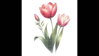 Watercolor Spring Tulip Flowers Clipart Watercolor Flower Clipart floral PNG format instant download
