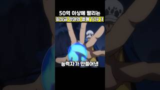 원피스 니카급 악마의 열매 TOP 3