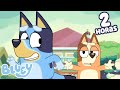18 EPISÓDIOS COMPLETOS 2 Horas De Episódios Completos De Bluey Bluey Português Brasil Canal