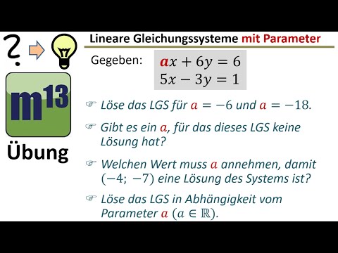 LGS mit Parameter - mehrere wichtige Grundaufgaben