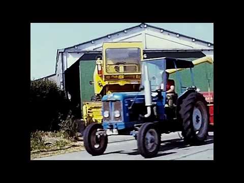 Loonw. Vande Vyvere - Zandvoorde - Ford 5000 - Fordson Major - Massey Ferguson 175 - New Holland 278