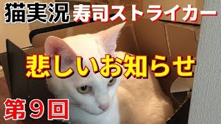 【猫実況】寿司ストライカー#09　悲しいお知らせ