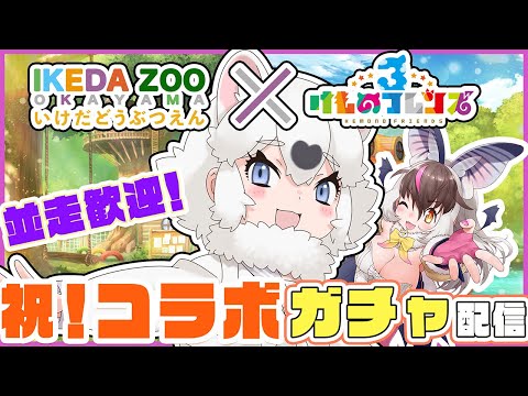 【 #けもフレ3】キ!「池田動物園×けものフレンズ」✨白くてもふもふくんかくんかもふもふ💗『ホンドタヌキ』ちゃんキたてワケ🐰🦇並走歓迎🔥【 #うさこぱとろーる #ウサギコウモリ】