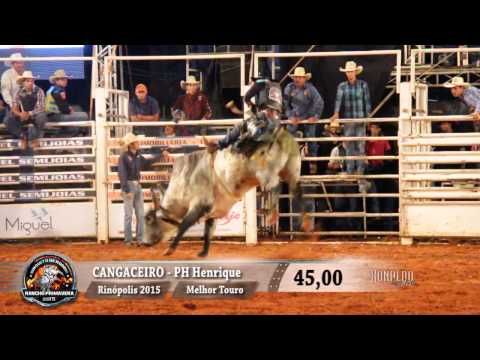 Rodeio de RInópolis 2015 - MELHOR TOURO