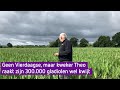 Geen Vierdaagse, maar kweker Theo is zijn 300.000 gladiolen wel kwijt