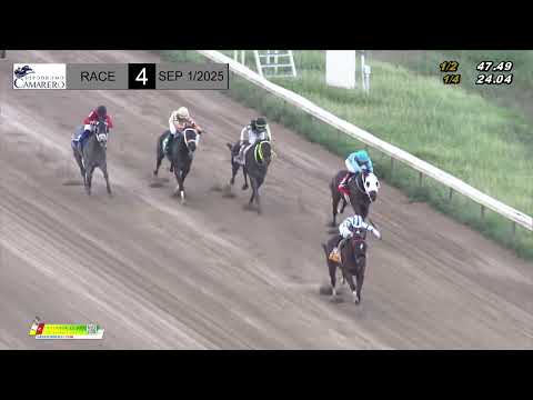 RACE 4 - SEPTEMBER 1, 2025 (EL GOLDY)