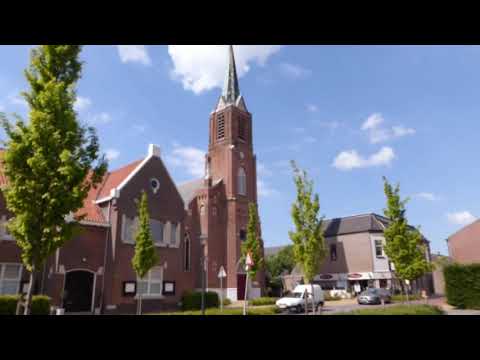 Vogelwaarde ' de rust ' film Nederland