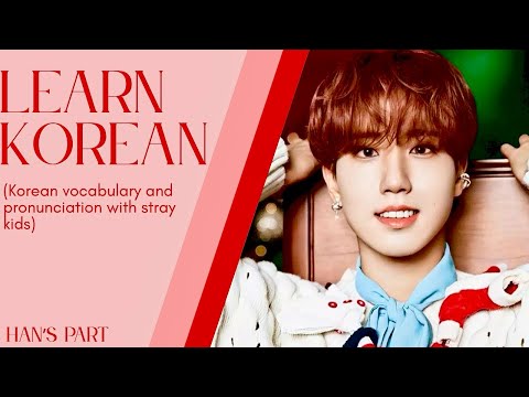 Stray Kids Han's 'Christmas EveL' Korean Lesson Engages Fans