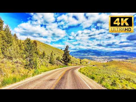 World of Drives and World of Walks