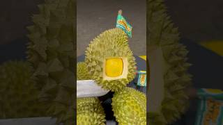 Download lagu DURIAN 3.1 MILLION #durian #masduren mp3
