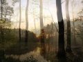 Saulius Mykolaitis - Matrica.wmv 