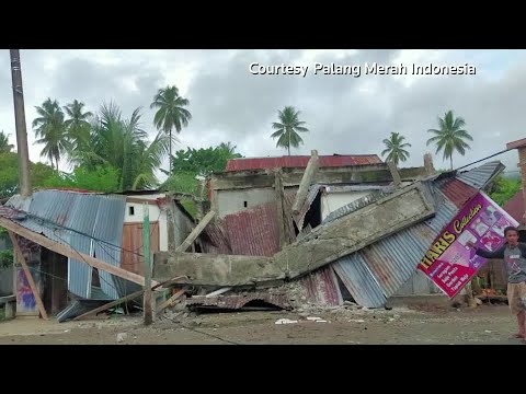 インドネシアで強い地震が発生 (Powerful earthquake strikes Indonesia)