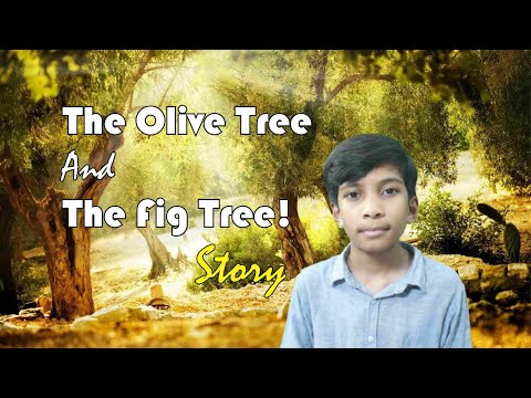 English Story"The Olive Tree And The Fig Tree