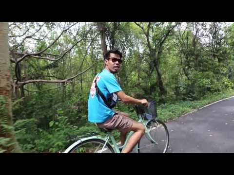 See the Green Side of Bangkok on this Bike Tour of Bang Kra Jao