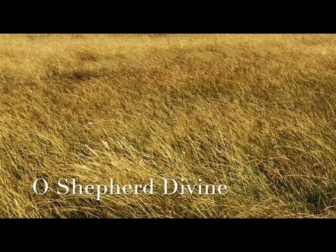 192 SDA Hymn - O Shepherd Divine (Singing w/ Lyrics)