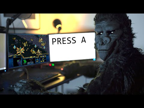 Are Protoss players dumb or smart apes?