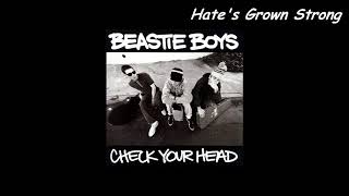 Beastie Boys   Gratitude with LYRICS