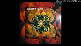 Burning Vinyl Featuring D.J. Joe Jam - Shakin' The Universe (Greedy Mix) [DAN 660150 6]