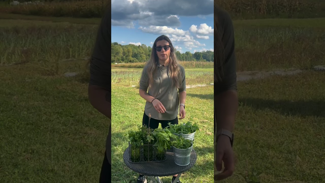 CSA Unboxing September 3, 2025