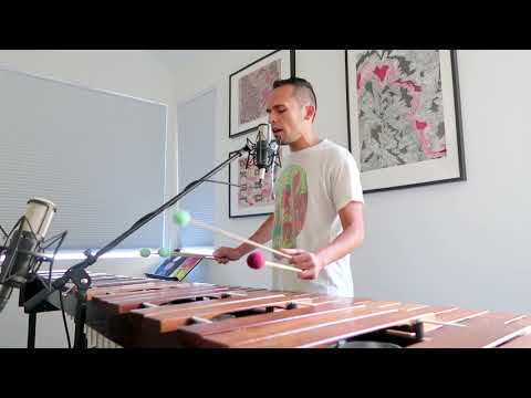 Baila from Song Book, Vol. 2 - marimba + singing - Ivan Trevino