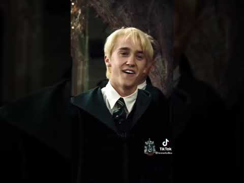 Vincent Crabbe y Gregory Goyle: Los inseparables secuaces de Draco Malfoy