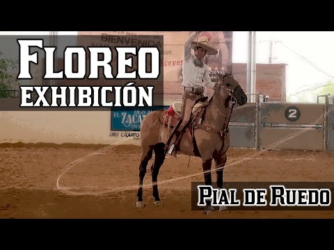 Exhibition Flourish and Pial in the Ring, 1st Place, Jalisco Norte State 2020