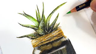 How to Use Inktense Pencils