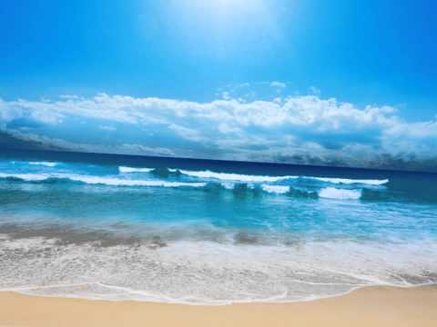 Clear Conscience & Friends - Empty Cans [feat. No Needz] [HD]