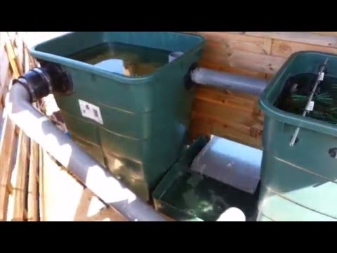 comment construire un jardin d'eau