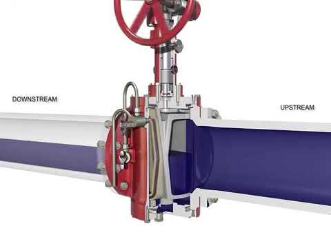 Dual Expanding Plug Valves - Winnellie Valves