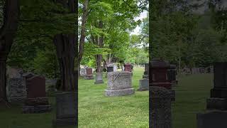 Download lagu 2pac - Cradle 2 the grave. mp3